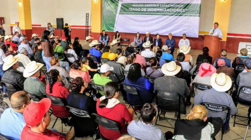 INDEMNIZA GOBIERNO A VITICULTORES AFECTADOS POR HELADAS EN ABRIL PASADO