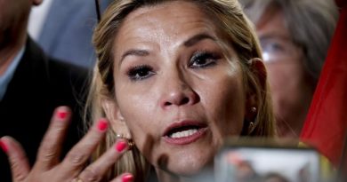Bolivia: futura presidenta interina anuncia que convocará elecciones Bolivia: futura presidenta interina anuncia que convocará elecciones